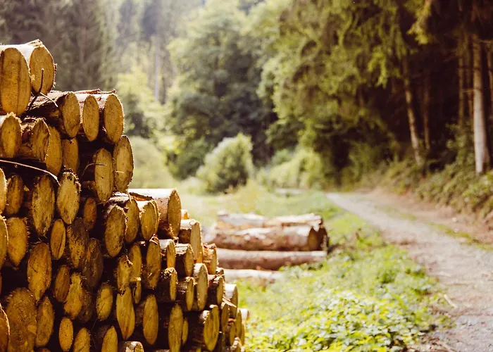 Houten Natuurhuisje Hikershut Wintger